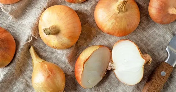 Flavour of Spanish Onion