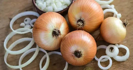 Health benefits of Onions