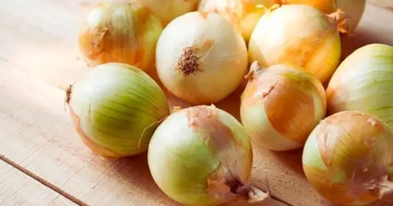 Origin of Spanish onion