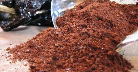 What is ancho chilli powder