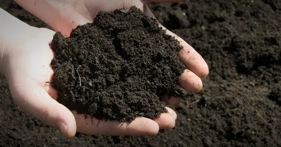 what is topsoil