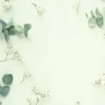 sage green wallpaper